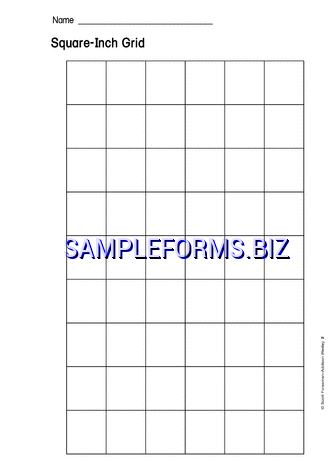 Square-Inch Grid pdf free